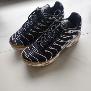 Nike Air Max Plus (Navy Blue, Gold and White